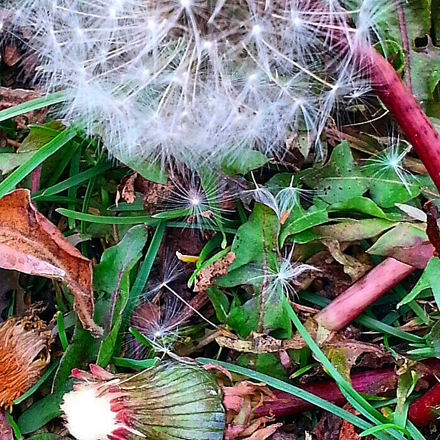 15543601108_622025e12a_o